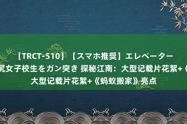 【TRCT-510】【スマホ推奨】エレベーターに挟まれたデカ尻女子校生をガン突き 探秘江南：大型记载片花絮+《蚂蚁搬家》亮点