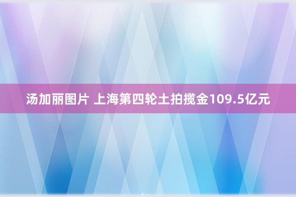 汤加丽图片 上海第四轮土拍揽金109.5亿元