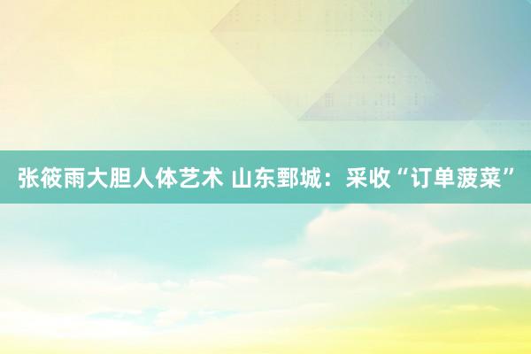 张筱雨大胆人体艺术 山东鄄城：采收“订单菠菜”