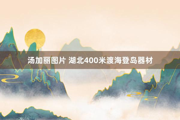 汤加丽图片 湖北400米渡海登岛器材