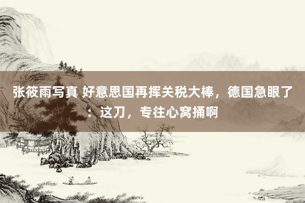 张筱雨写真 好意思国再挥关税大棒，德国急眼了：这刀，专往心窝捅啊