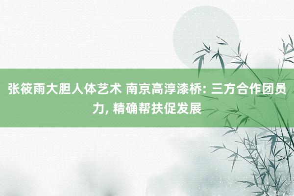张筱雨大胆人体艺术 南京高淳漆桥: 三方合作团员力, 精确帮扶促发展