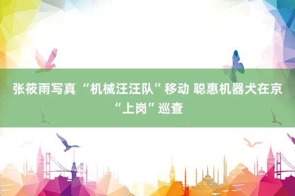 张筱雨写真 “机械汪汪队”移动 聪惠机器犬在京“上岗”巡查