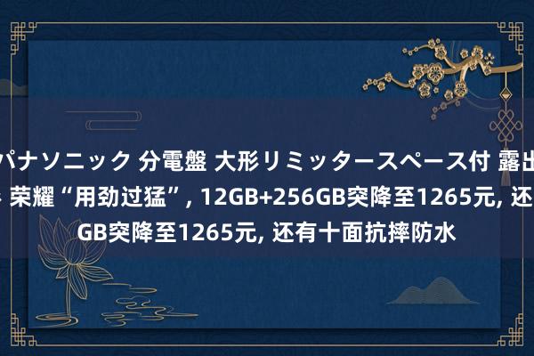 パナソニック 分電盤 大形リミッタースペース付 露出・半埋込両用形 荣耀“用劲过猛”, 12GB+256GB突降至1265元, 还有十面抗摔防水