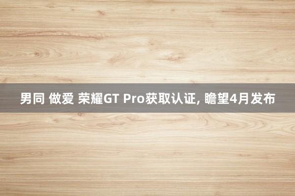 男同 做爱 荣耀GT Pro获取认证, 瞻望4月发布